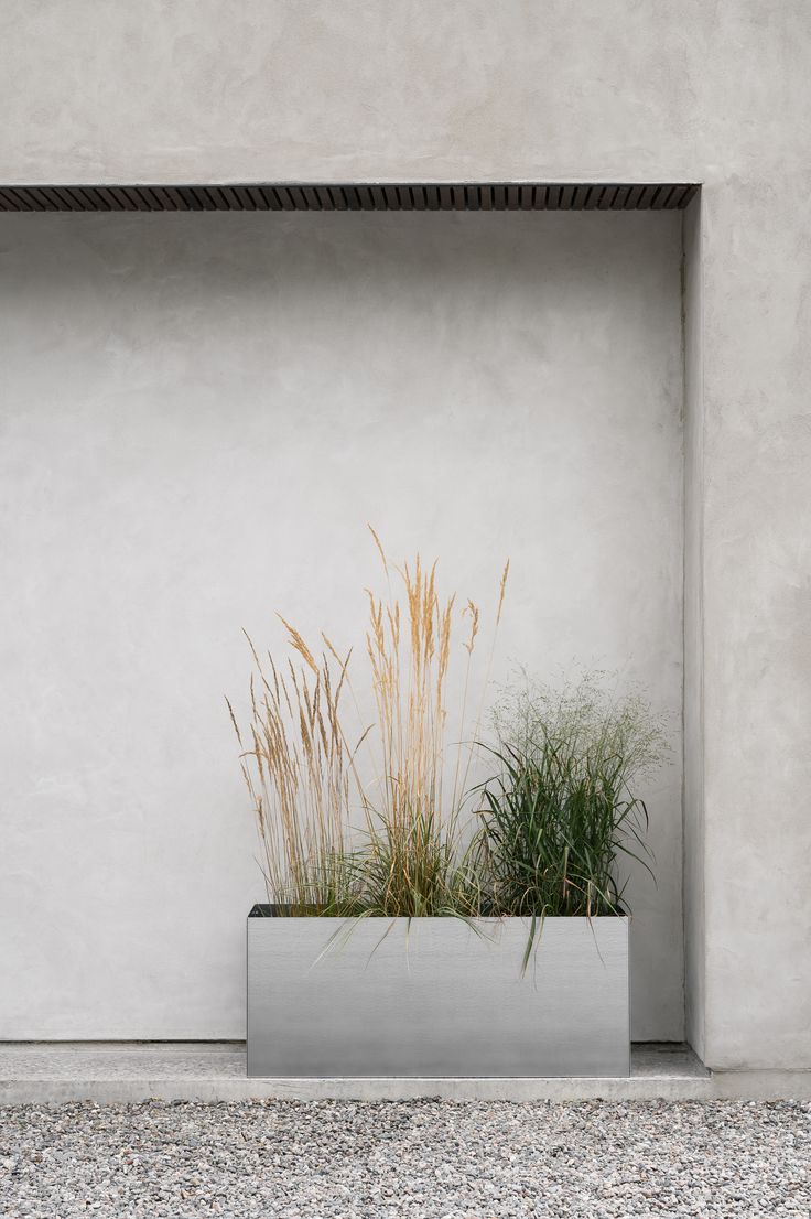 Stucco Wall Gardens Vertical Greenery For Urban Spaces   Stucco Wall Garden 